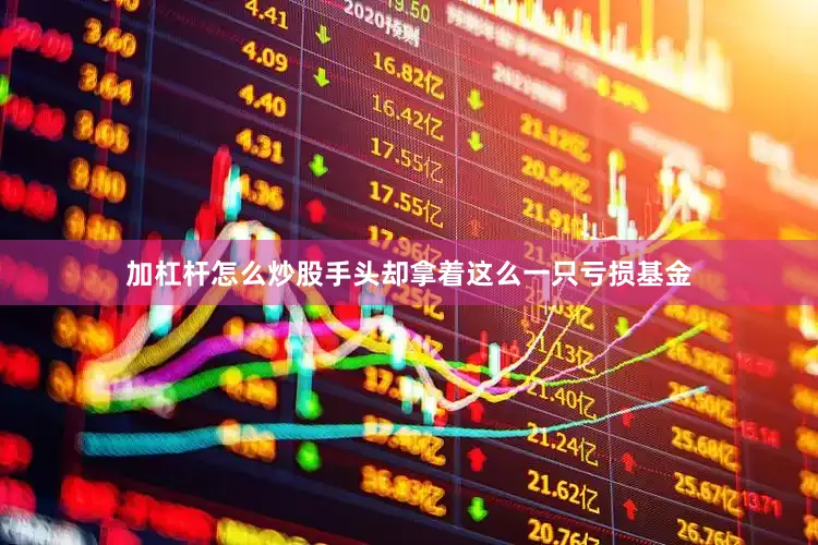 加杠杆怎么炒股手头却拿着这么一只亏损基金